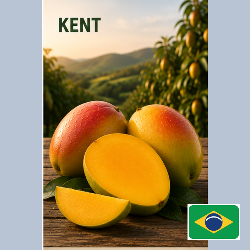 kent badged