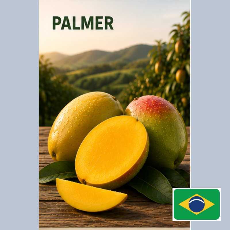 palmer badged