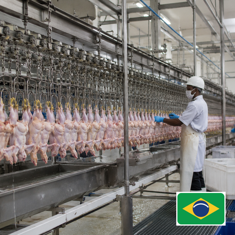 Poultry poultry manufacture badged