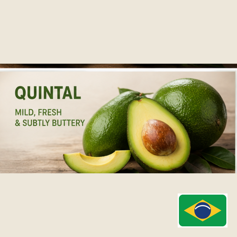 quintal badged