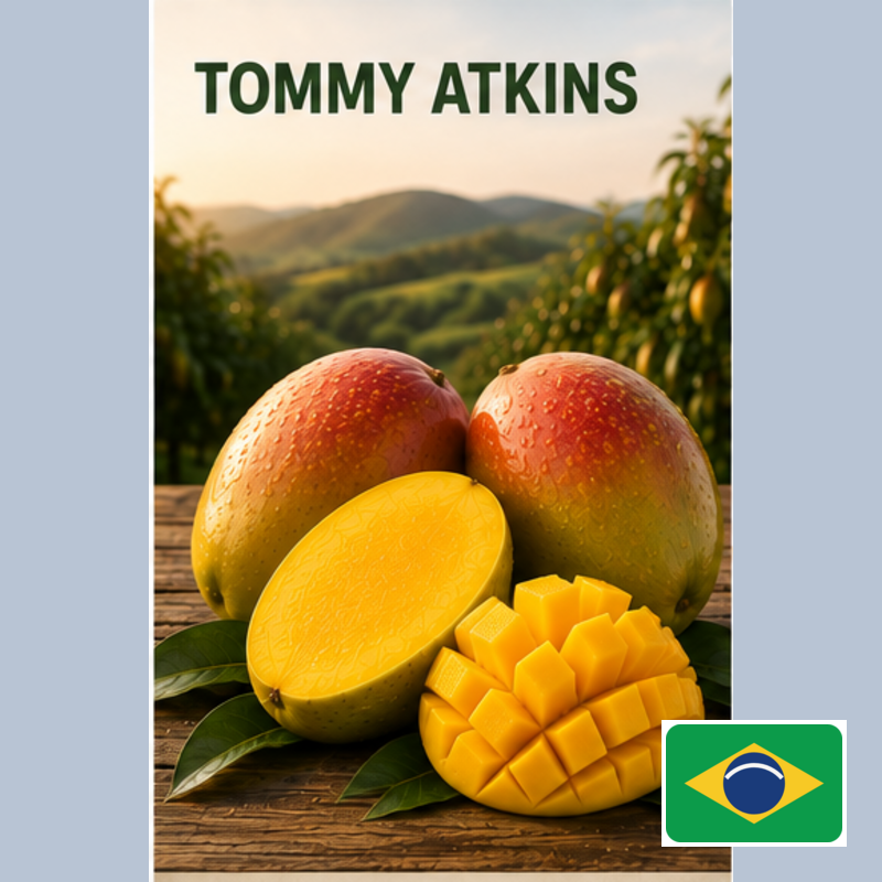 tommy atkins badged